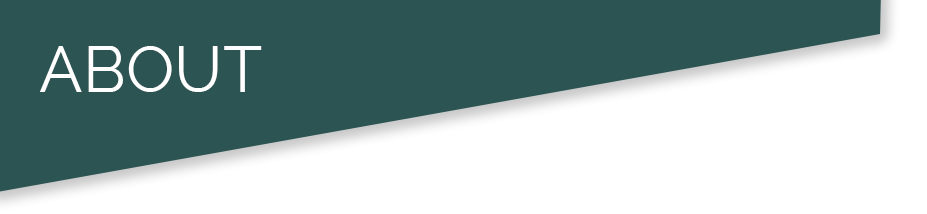 about_section_image